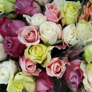 Meet your Posher, Pamela